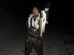 ishikawa60.jpg